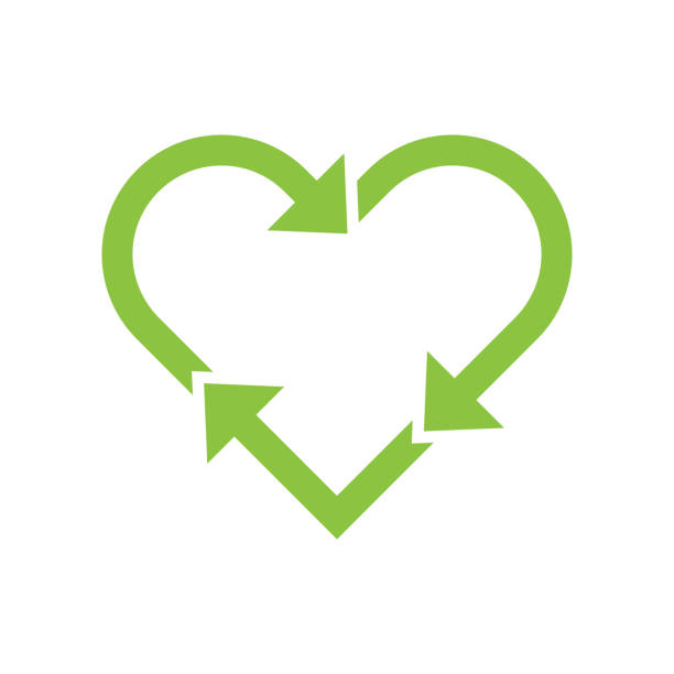 Eco-Friendly Junk Removal: Minimizing Waste and Promoting Green Practices