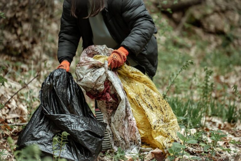 Understanding the Environmental Impact of Junk Removal Services