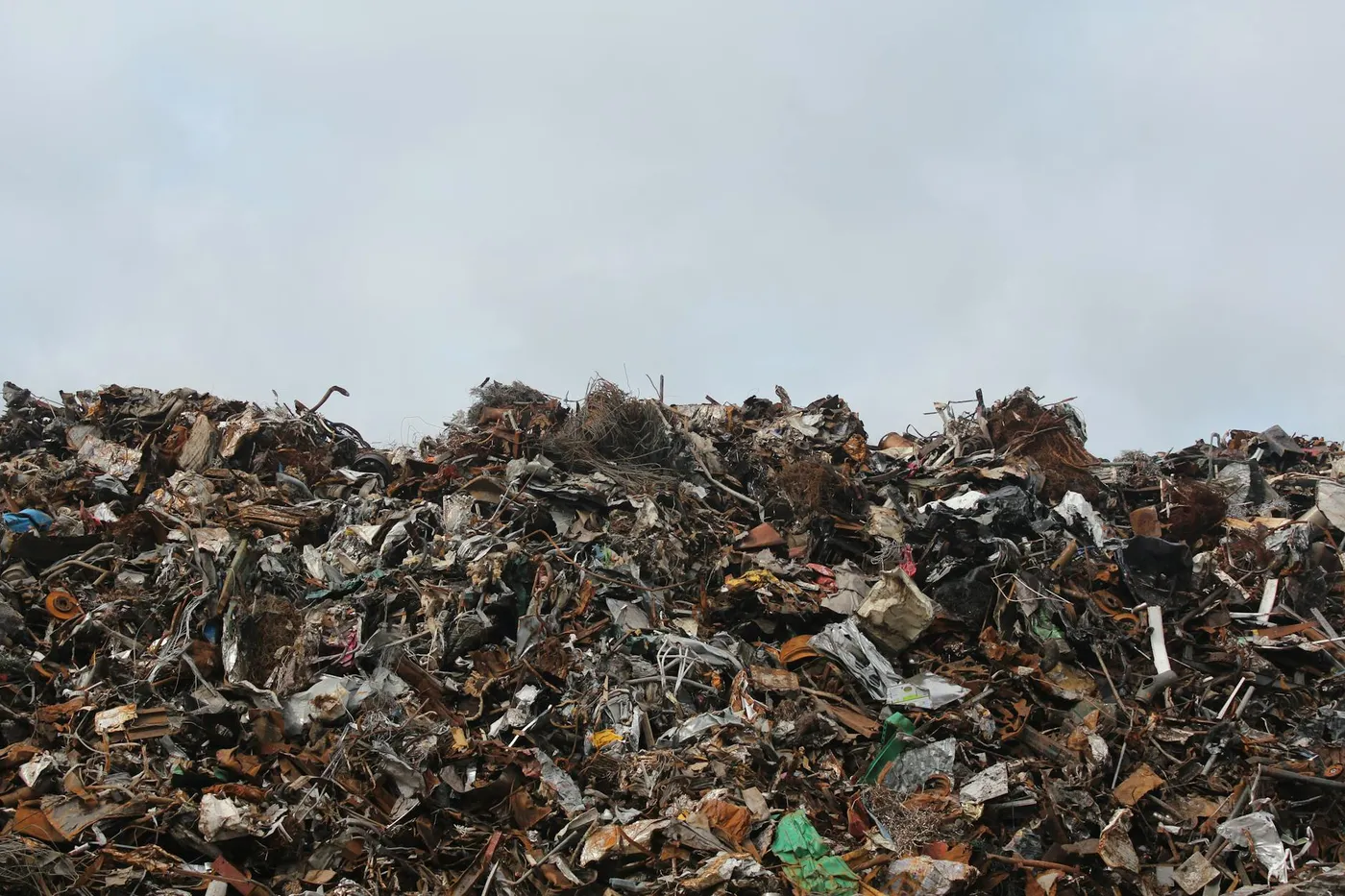 Dumpster Rental