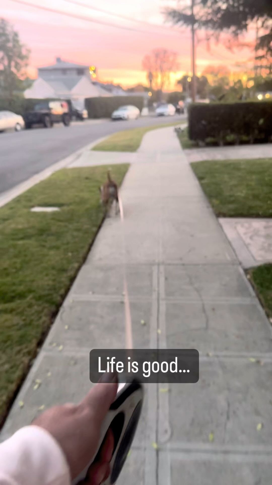 Remove It Pro team at work